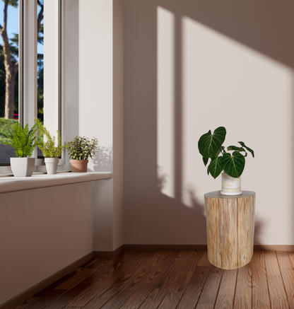 Round Natural Wood Tree Trunk Stool